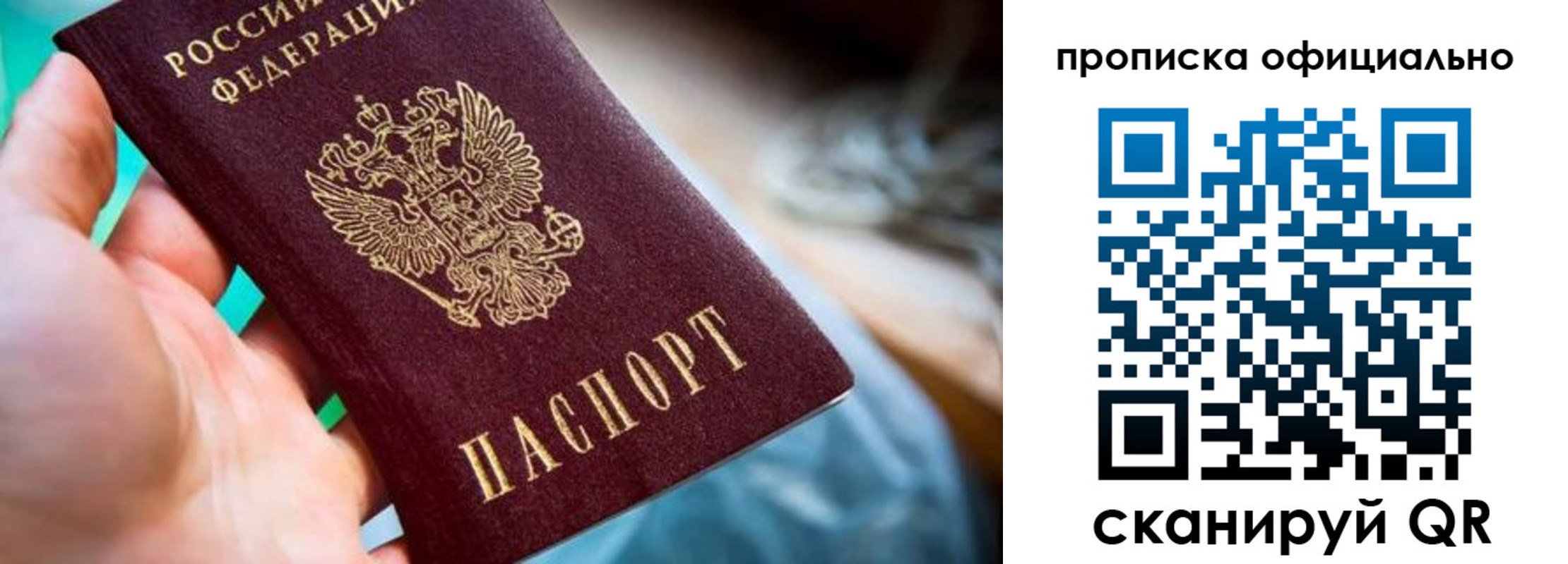 прописка поиск в Луге